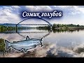 Сомик Голубой. Русская Рыбалка.