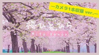 オリジナル楽曲「桜ひとひら」−カメラ1本収録 ver.