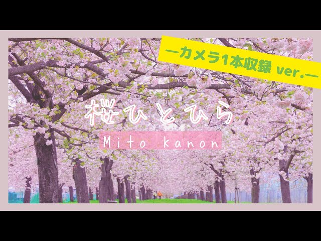 オリジナル楽曲「桜ひとひら」−カメラ1本収録 ver.