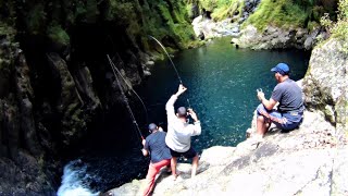 Pêche des Meilleurs Truites de la Réunion à Takamaka