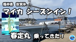 【イカメタル】マイカシーズン到来！春定丸 乗ってきた！／福井県敦賀沖