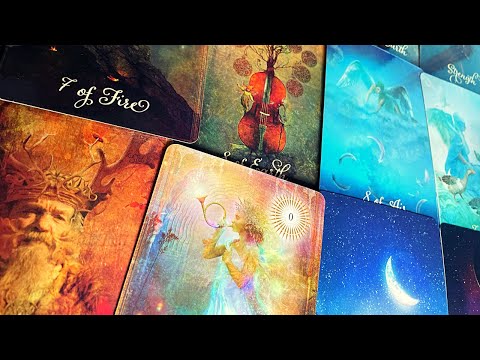Taurus ♉️ Next 24 hours❤️YOU LIKE IT OR NOT…THIS IS CERTAIN…THEY’RE UPTO SOMETHING !!❤️Tarot Reading