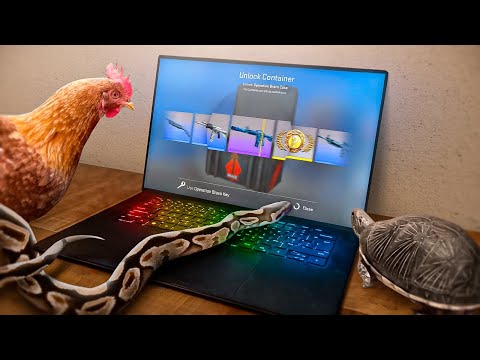 I Let 15 Animals Open CS:GO Cases