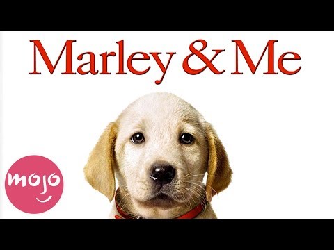 top-10-best-dog-movies