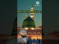 Nabi Pak. saw ke sahaba ka waqia#shorts #youtubeshorts #sahaba #islamicvideo