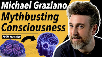 Rethinking Consciousness with Attention Schema Theory