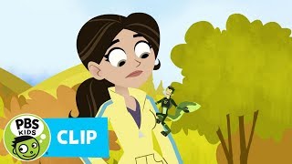 Celebrity WILD KRATTS | Little Buckaroo! | PBS KIDS Profile