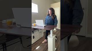 #SEDETA 55 Inch Height Adjustable Electric Standing Desk @serapbrdk