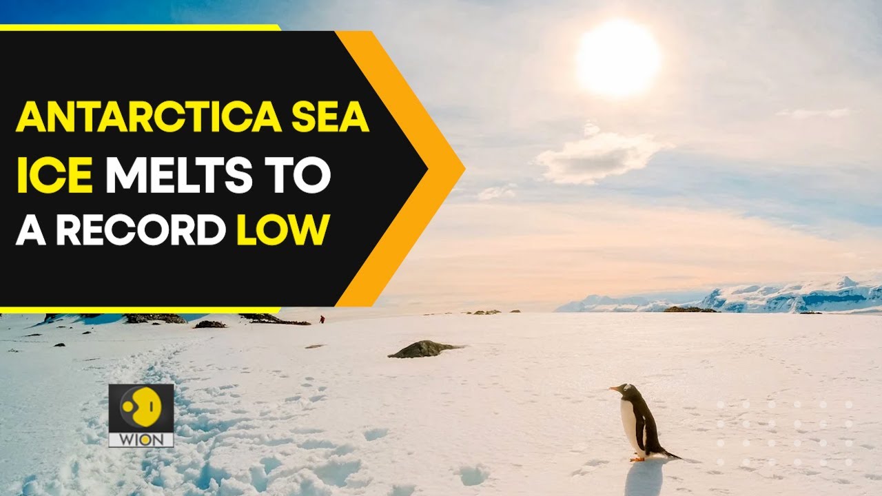 Antarctica sea ice melts to a record low - YouTube