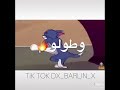 اجمل حالات واتس القط والفار