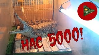 5000 Подписчиков На Канале! Спасибо Что Вы С Нами!