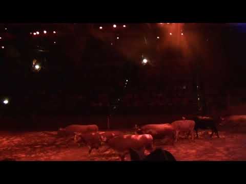 Buffalo Billu0027s Wild West Show - Disneyland Paris