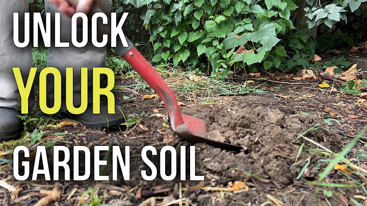 Improve Your Soil Health: The Ultimate Guide