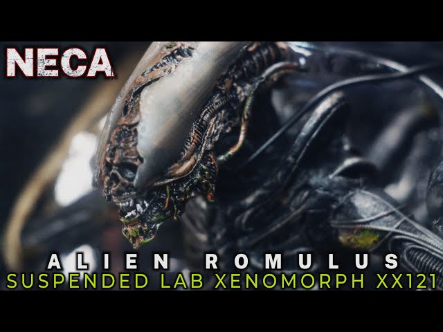 NECA ALIEN ROMULUS LAB SUSPENDED XENOMORPH XX121 - YouTube