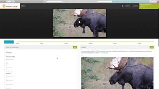 Editing Basic Video Properties