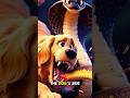 This Cat Faced a Deadly Cobra… Then a Dog Jumped In 😱🐶🐱 #petcomedy #youtubeshorts #dogsavescat