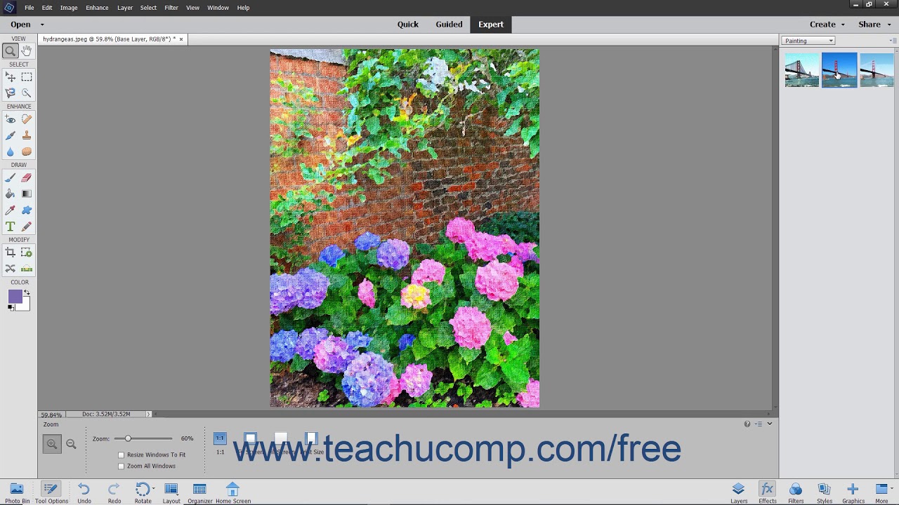 Photoshop Elements 2020 Tutorial Applying Effects Adobe Training - YouTube