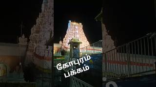 Closeup Tirupati🙏🏻Kopuram😍 #tirupatidarshan #tirupati #srvlogtamil
