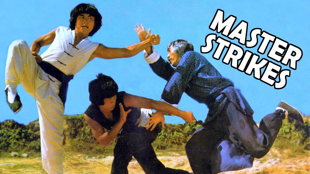 ninja air fryer Wu Tang Collection- Master Strikes (Widescreen)