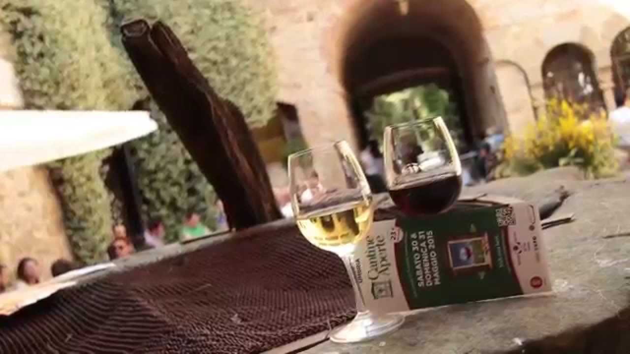 MTV Umbria - Cantine Aperte 2015