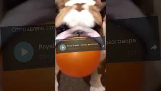 Как ты записан в тг?#экшенигры #друзьявшколе #лучшеев2024