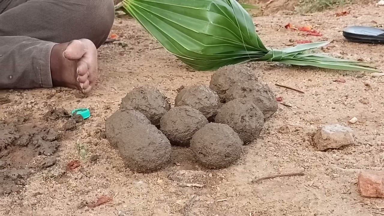 కౌజుపిట్ట గుడ్లను బంకమట్టిలో పెట్టి కాల్చాము||quail bird eggs cooking in black sand||