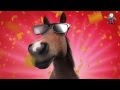 Horse Happy Birthday Video Greeting Card 