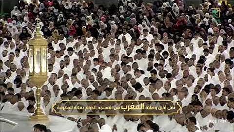 ' خواتيم سورة النازعات ٣٤ - ٤٦ ' الشيخ #بندر_بليلة صلاة المغرب ٢٩-١-١٤٤٦ هـ