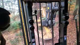 Tethered - The Forest...