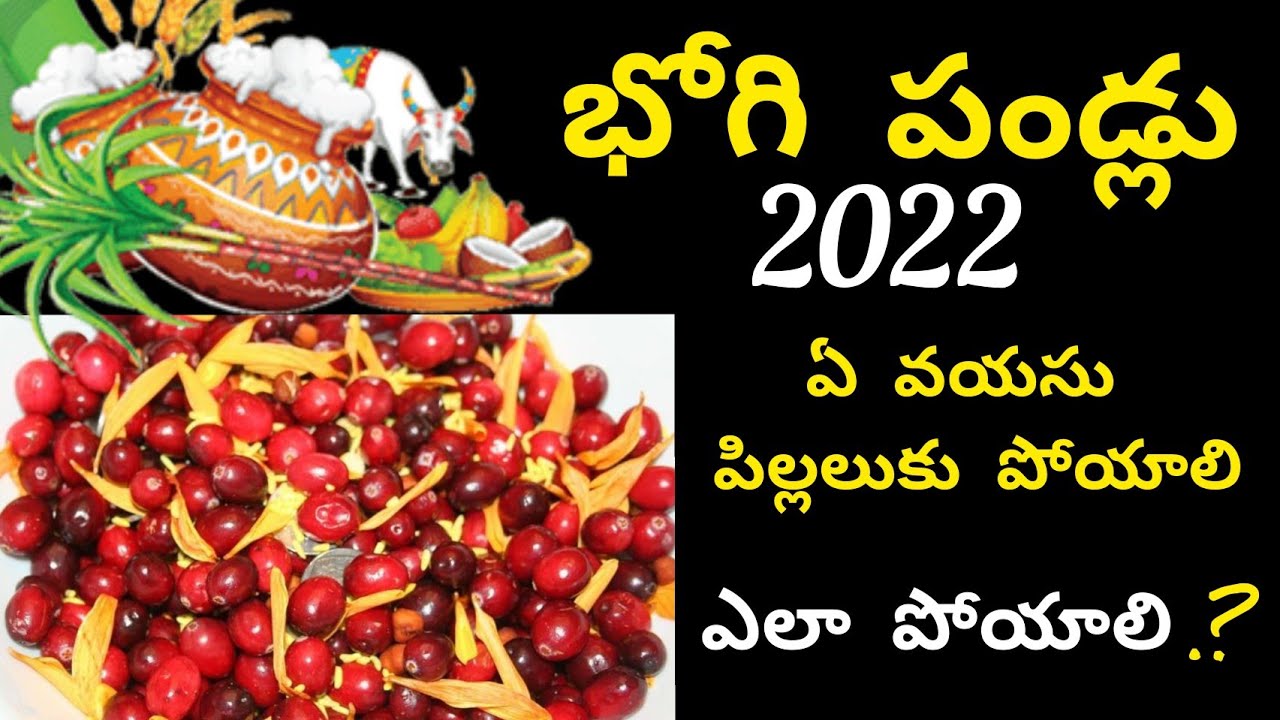 bhogi pallu ela poyalli/ bhogi pallu date 2022/ bhogi pallu visistha/ bhogi pallu 2022/ bhogi2022