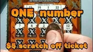 20 X THE CASH   $5 MAINE scratch off ticket
