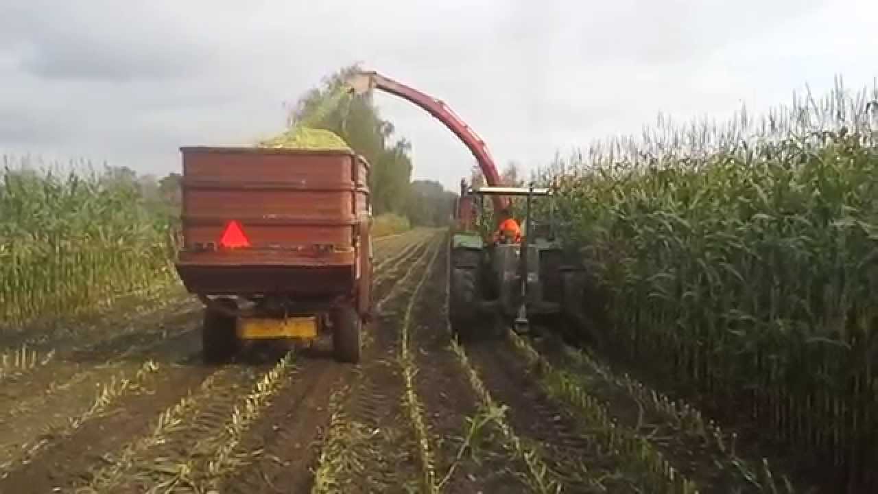 mh 160