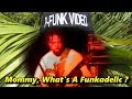 P Funk Mommy What Is A Funkadelic mp3