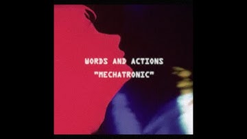 Words and Actions - Mechatronic
