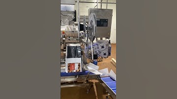 NEWTEC 4009XB-2 Weigher with PEB60KL Potato Bagging Line