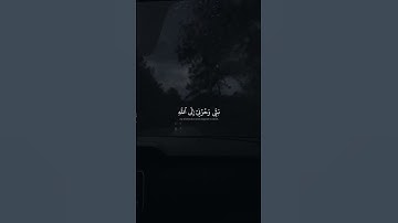 سورة يوسف..."🎧 #explore #foryou #اكسبلور #القرآن_الكريم #القران #القران_الكريم #الله #المنشاوي #fyp