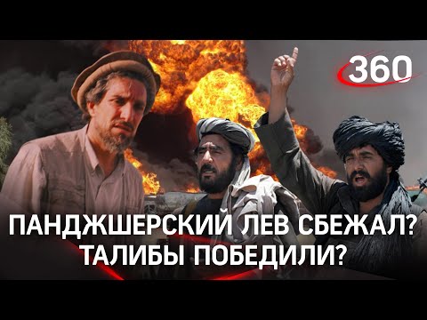 Панджшер пал? Масуд бежал в Таджикистан - турецкие СМИ. Талибы* стреляют в воздух в Кабуле