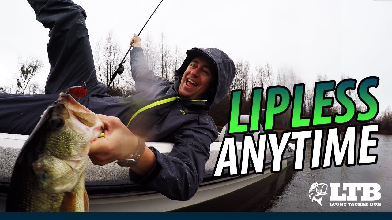 How To Fish a Lipless Crankbait Anytime: Lucky Tackle Box Tips