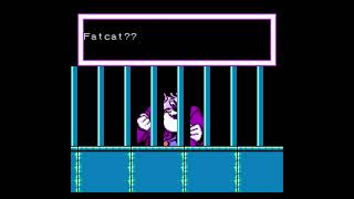 NES Disneys Chip n Dale: Rescue Rangers 2 - Dale The Hawaiian