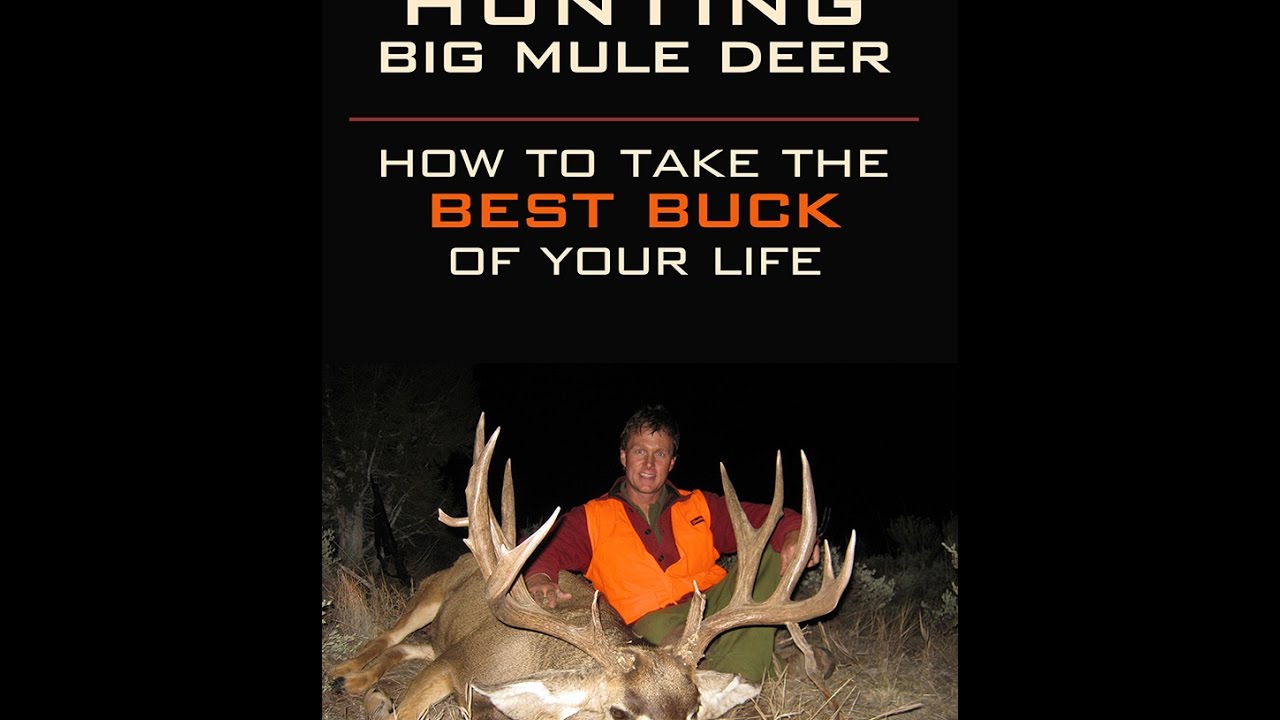 #10 Avery Adventures with Robby Denning