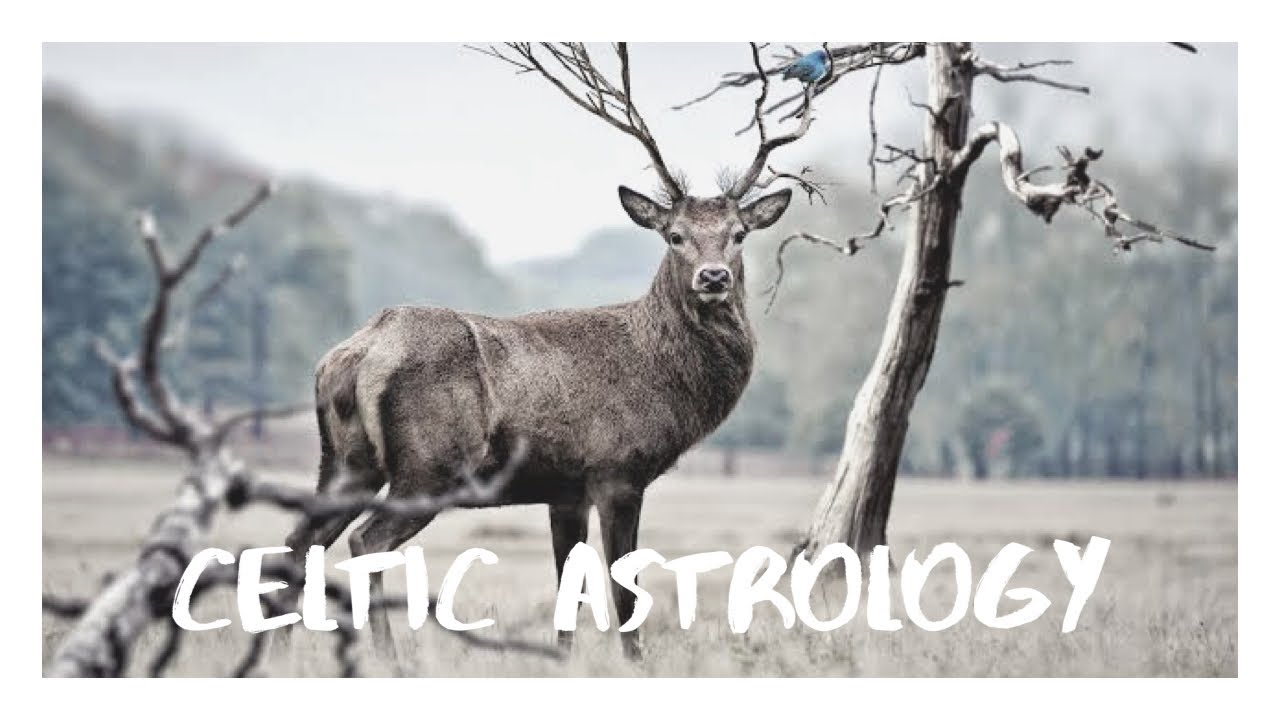 Celtic Animal Zodiac