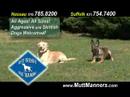 best-friend's-dog-training,-www.muttmanners.com