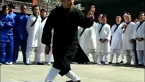 Wudang Taiyi Wu Xing Quan demonstrated by Wudang Sanfeng Pai GrandMaster Zhong Yun Long