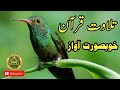 Tilawat Quran