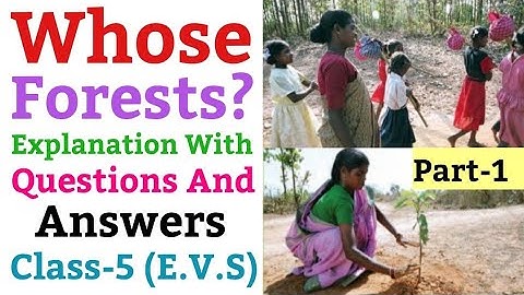 Whose Forests?, Class 5 | Explanation With Que And Ans (NCERT) | E.V.S | Part-1
