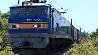2024/5/10(金) 4061列車 EF510-501  秋田～羽後牛島間