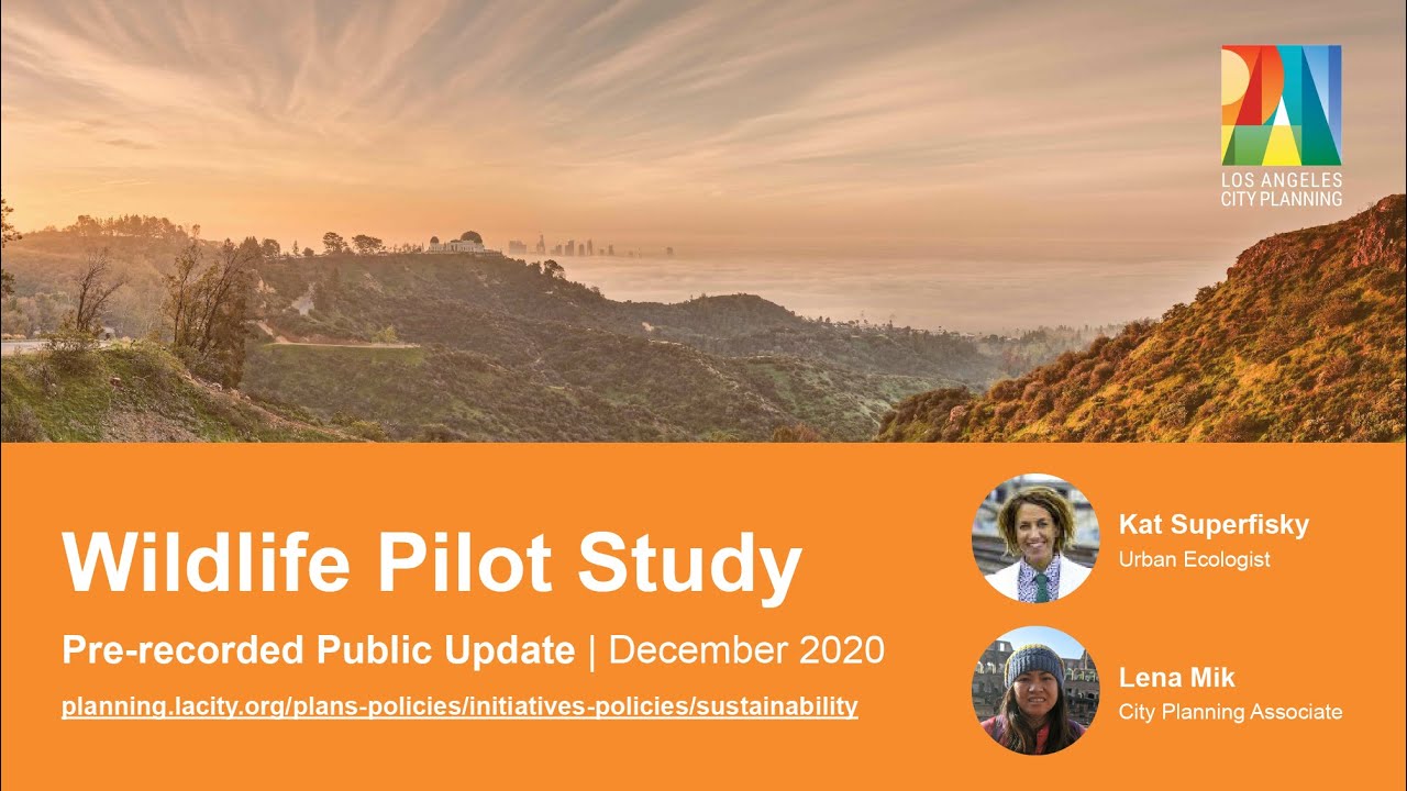 wildlife-pilot-study-informational-video-la-city-planning-youtube