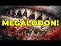 24 Hours with a Monster: A Day in the Life of Megalodon