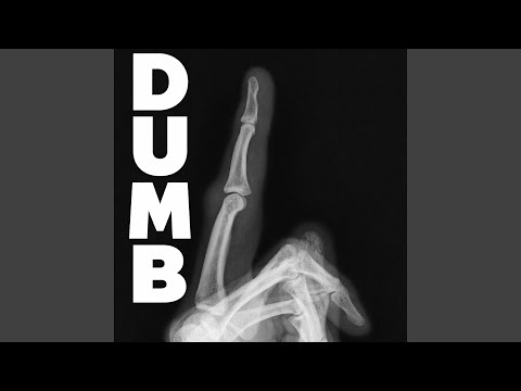 DUMB auf YouTube ansehen DUMB auf YouTube ansehen
