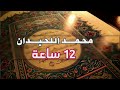 ١٢ ساعة كاملة تلاوة تقشعر لها الأبدان بصوت محمد اللحيدان    